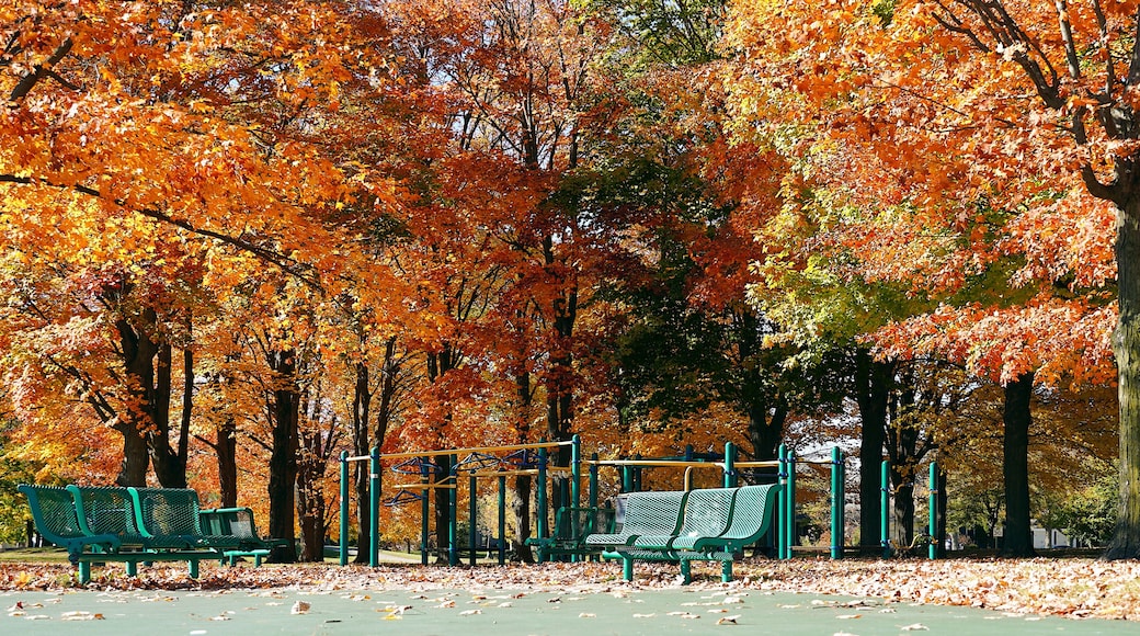 Waukegan