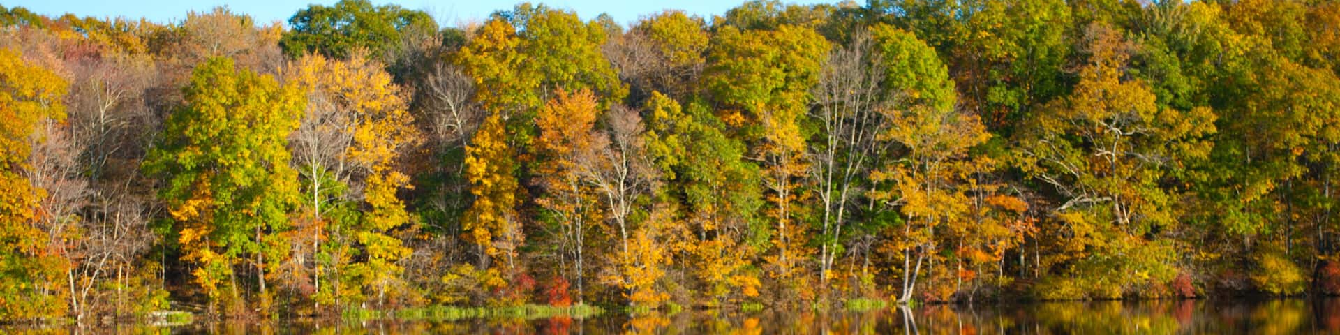 Beautiful Fall Autumn Foliage in New England USA at Risley Park Vernon Connecticut