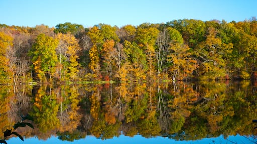 เวอร์นอน