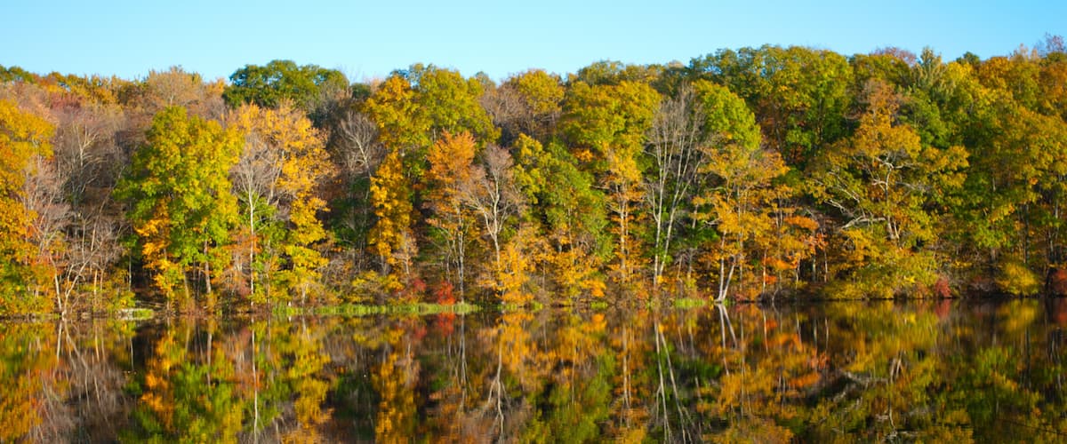 A calm lake reflecting autumn trees.