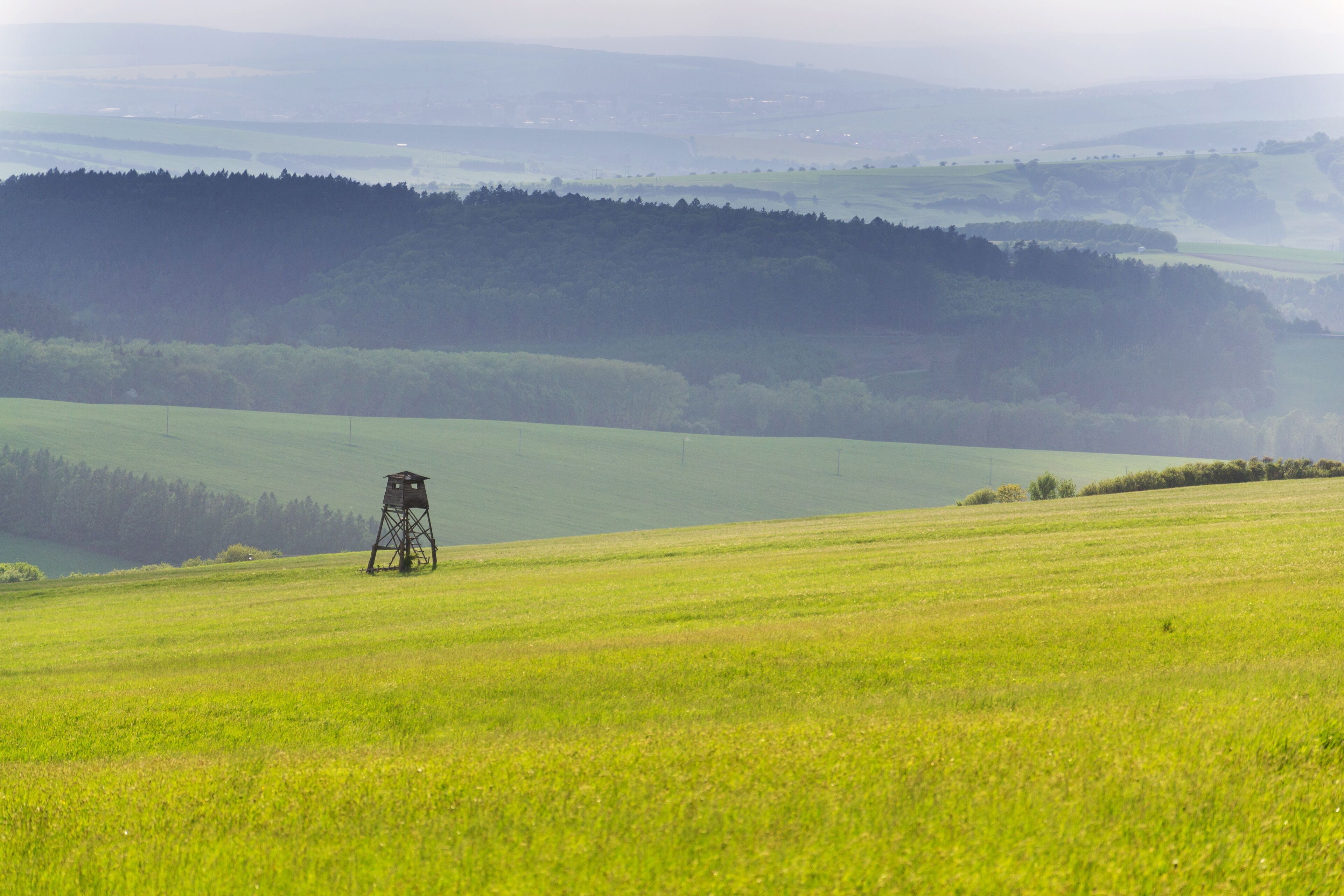 ウーヘルスケー ハラヂシュチェ