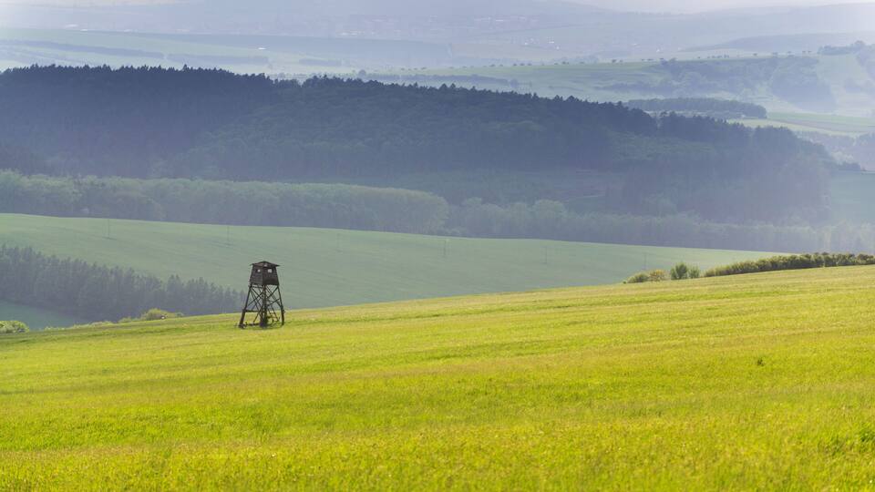 A rural landscape with a watchtower in a field, rolling hills, and a forest in the background.