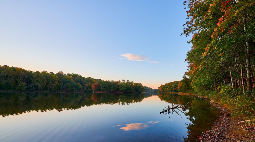 A calm lake with a reflection of trees and sky, surrounded by autumn foliage.