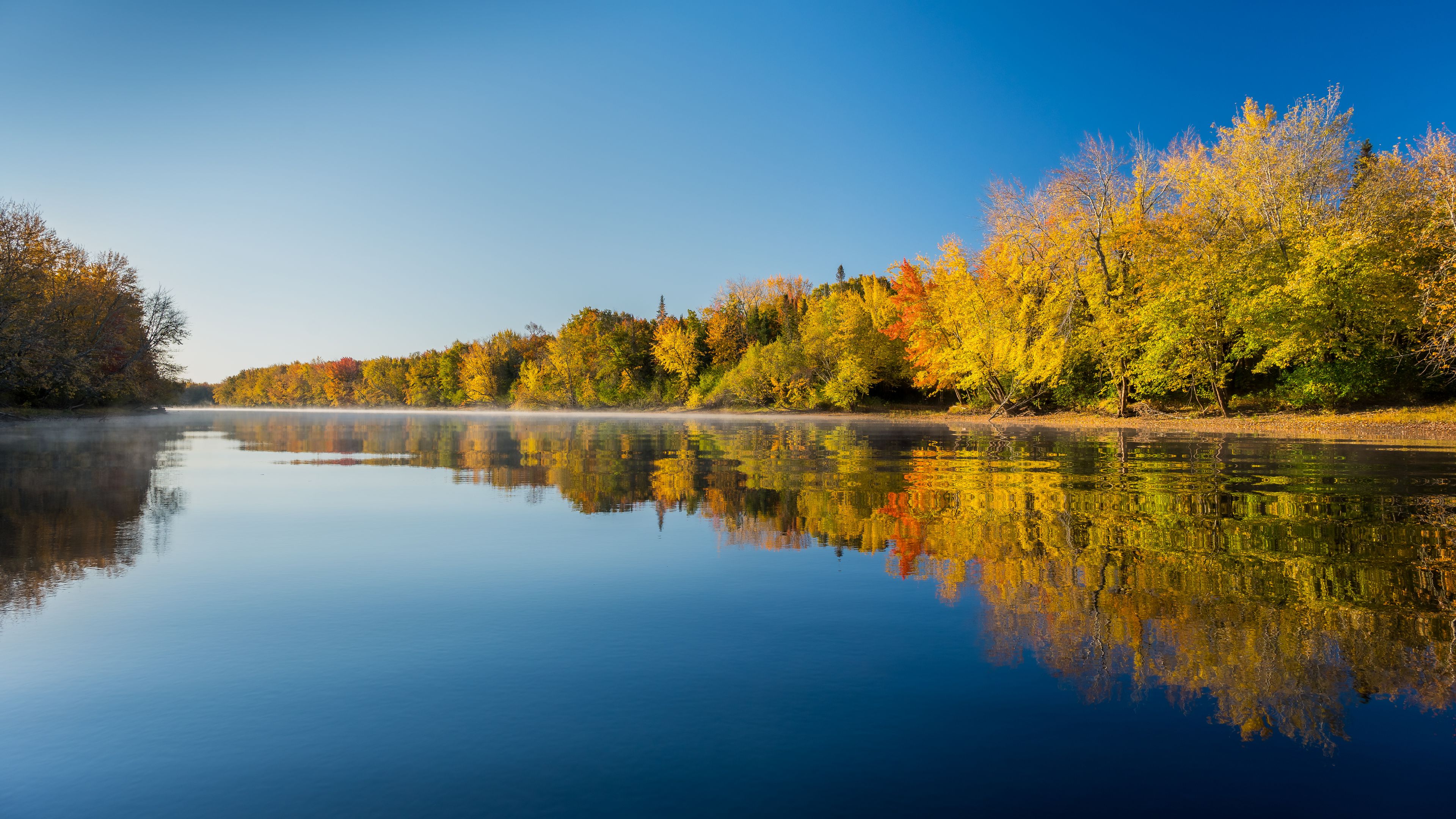 Autumn trees reflected in calm water with clear blue sky