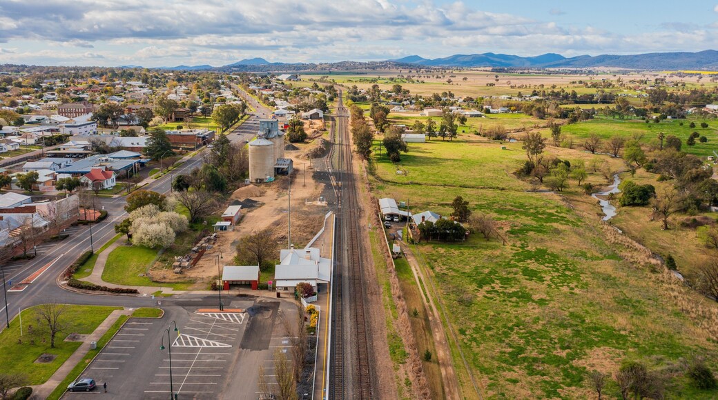 Quirindi showing landscape views and a small town or village