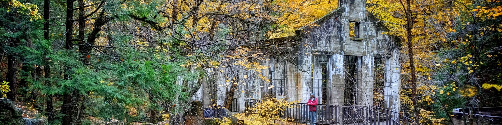 A stone bridge over a stream in a forest with autumn foliage.