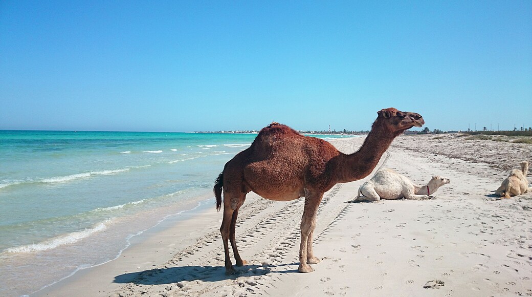 Djerba