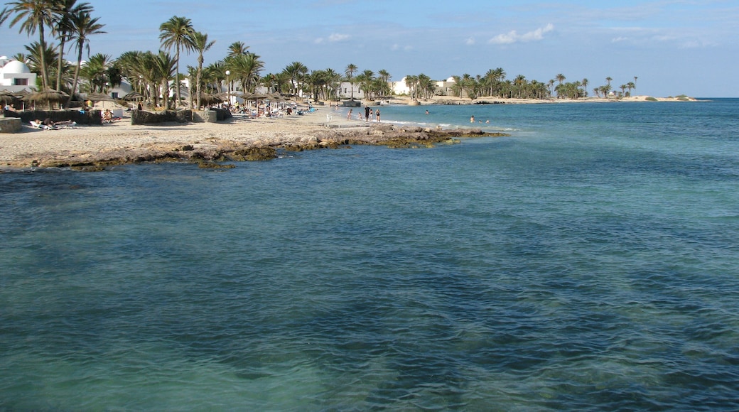 Palm beach on the island Djerba, Tunisia , Shutterstock ID 592300868, SF SSA Case with Manager Approval: Case 07151371, Job: Prepay credit, Client/Licensee: , Other: