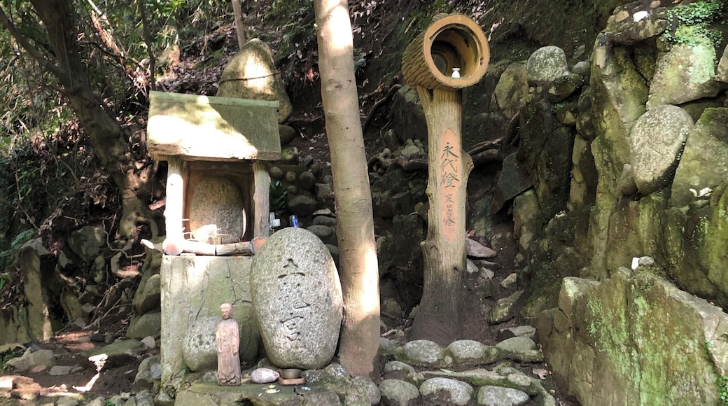 #HISTORY
When in Japan take advantage of the high speed trains and get around the country. Hike away from the station in KOBE and you will find hills, woods, waterfalls, temples, and beautiful views.