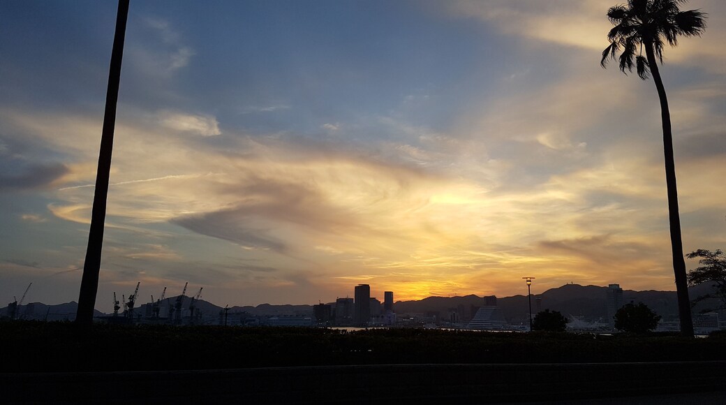 Sunset on Port Island.
#japan #kobe #port #island #sunset #palmtree