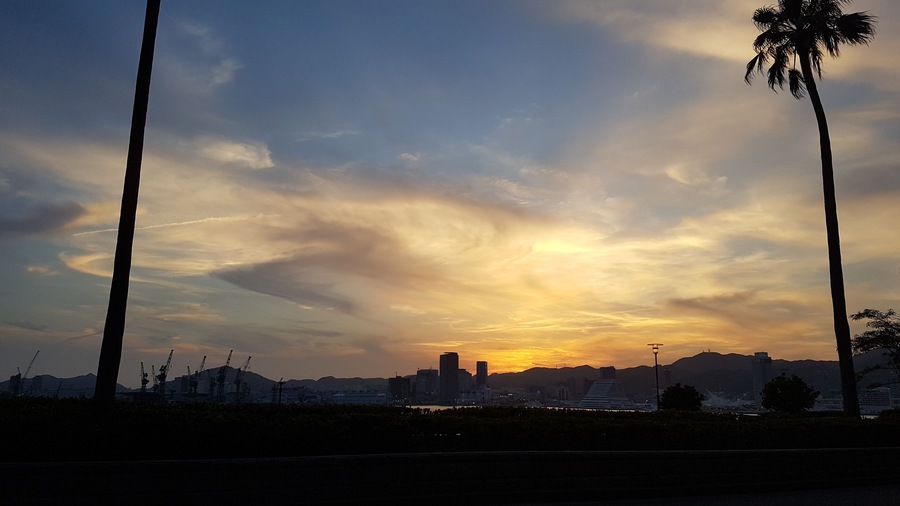 Sunset on Port Island.
#japan #kobe #port #island #sunset #palmtree
