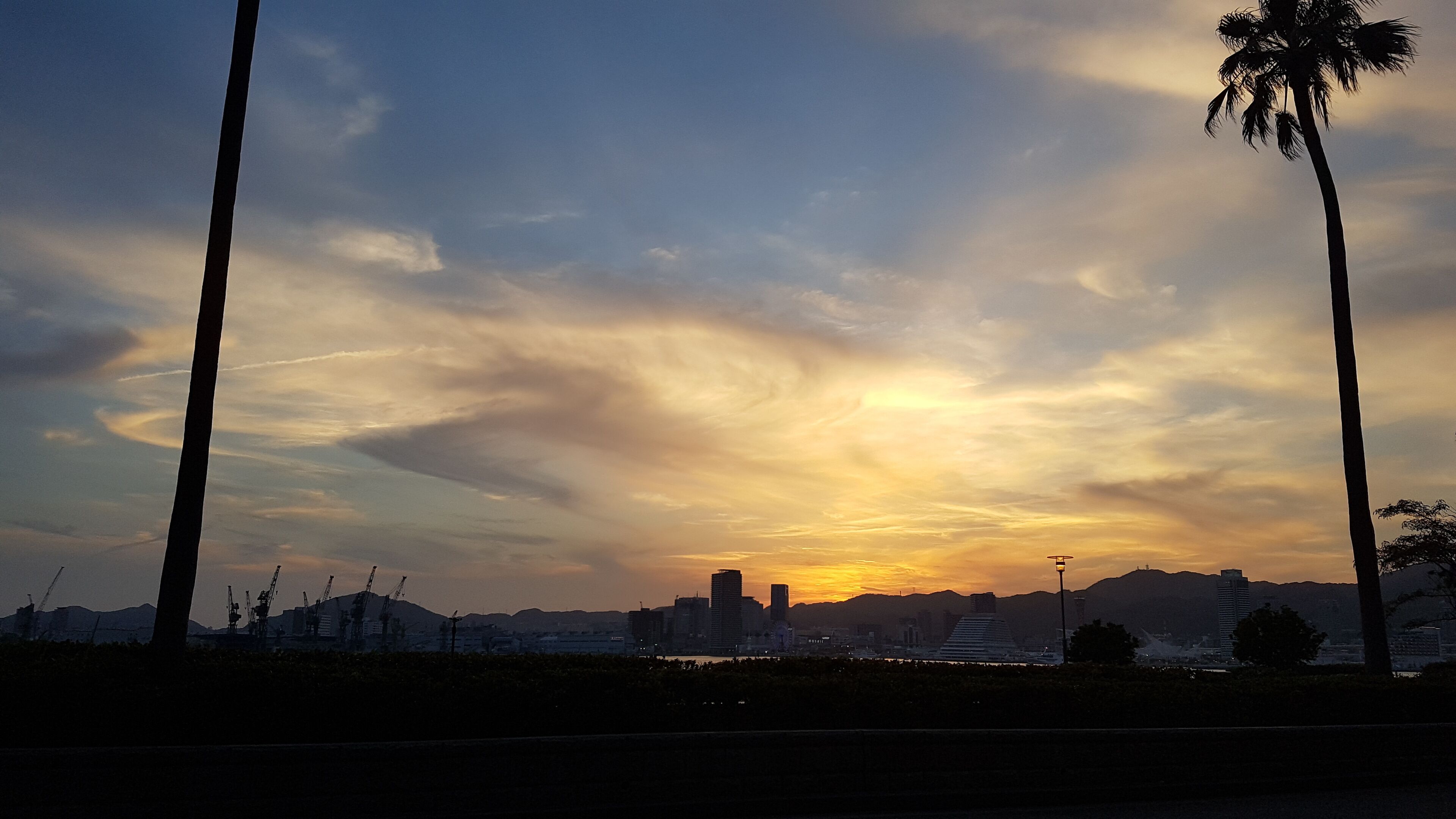 A sunset over a city skyline with palm trees and construction cranes.
