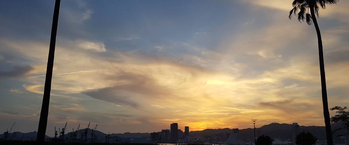 A sunset over a city skyline with palm trees and construction cranes.
