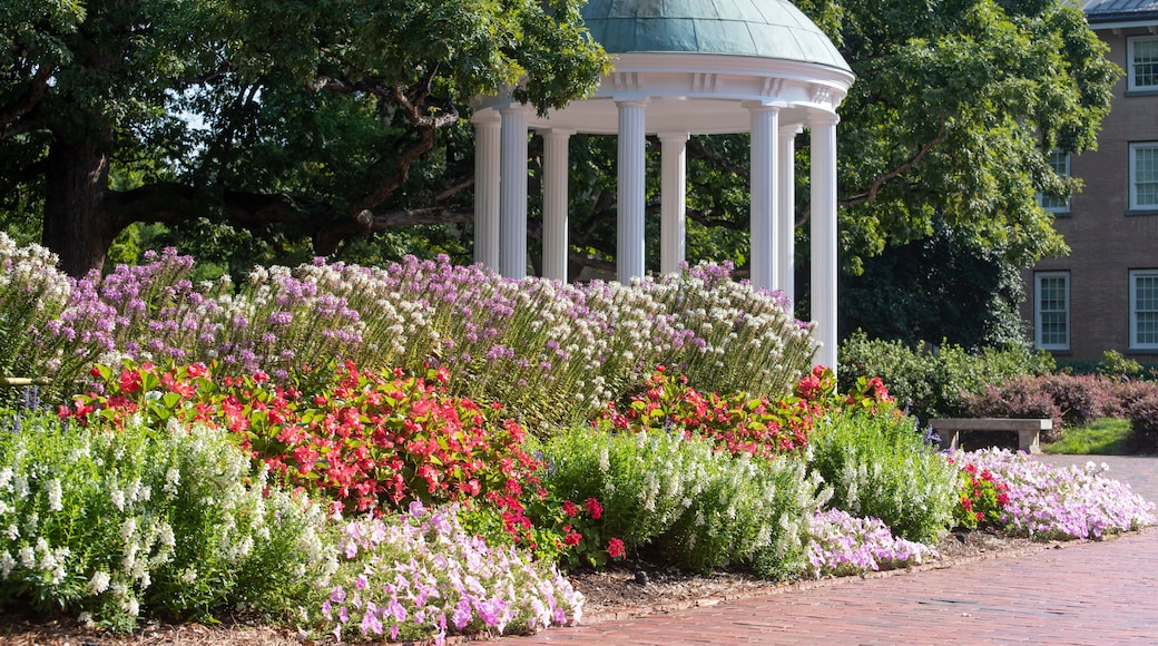 Een tuin met een witte prieel, kleurrijke bloemen en een met bakstenen bestraat pad.