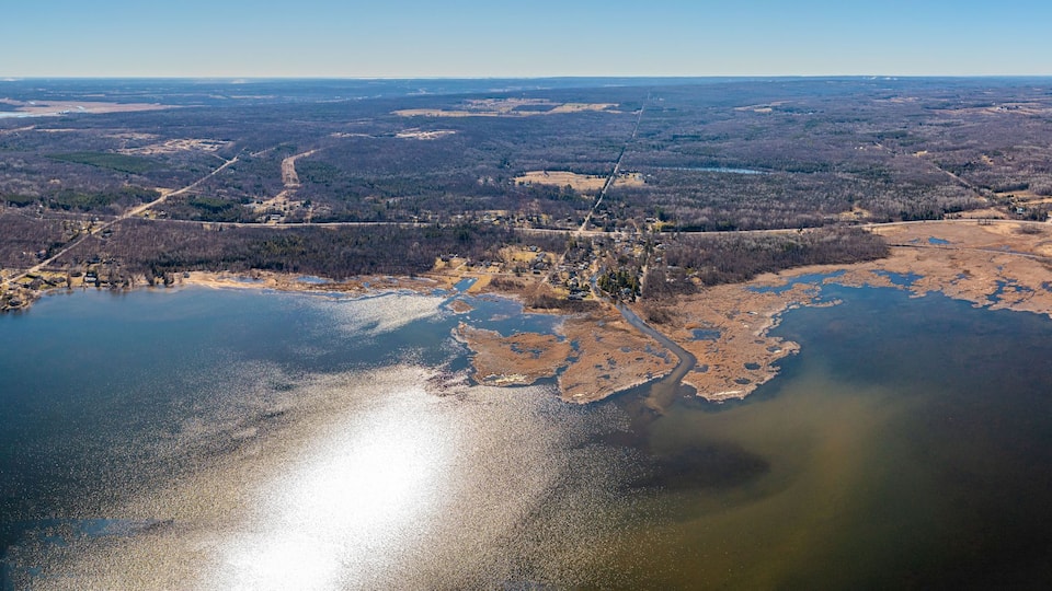 An aerial view of a river delta with a mix of forested areas and open fields.