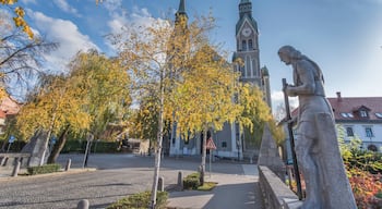Trnovo