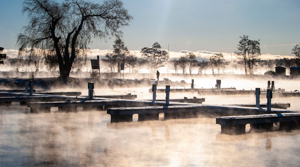 Un lago brumoso con muelles de madera y árboles sin hojas.