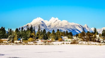 The snow covered peaks of the Golden Ears mountain behind the town of Fort Langley in the Fraser Valley of British Columbia, Canada on a cold winter day and snow covered fields under clear blue sky