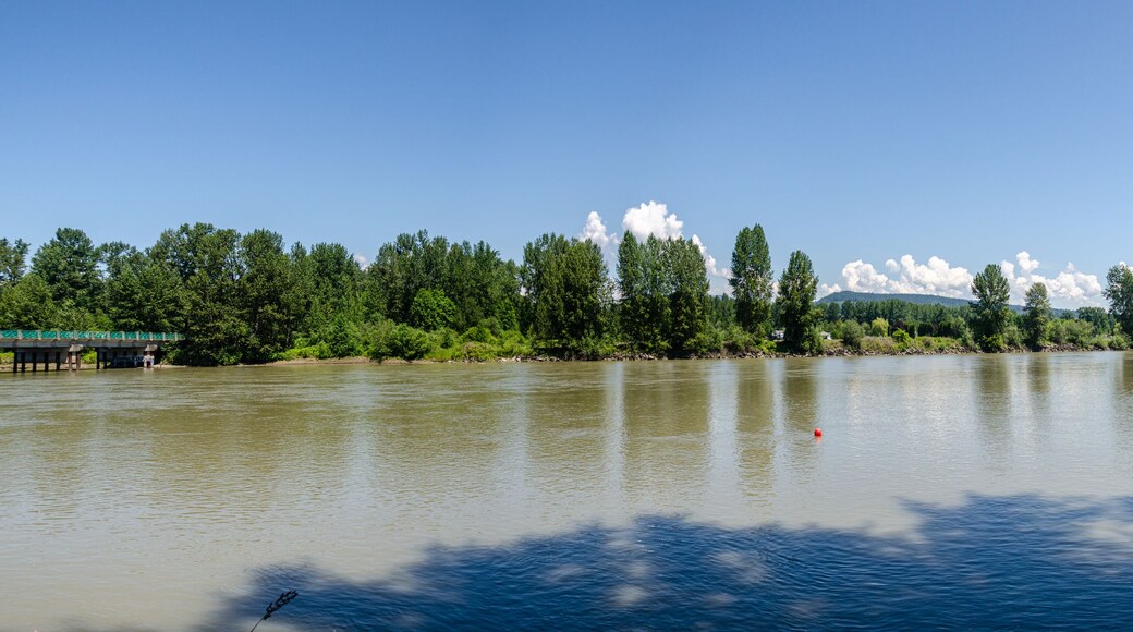 A river with a bridge, dense trees, and a clear sky.