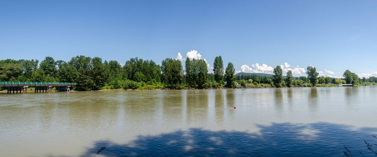 Un río con un puente, árboles densos y cielo despejado.