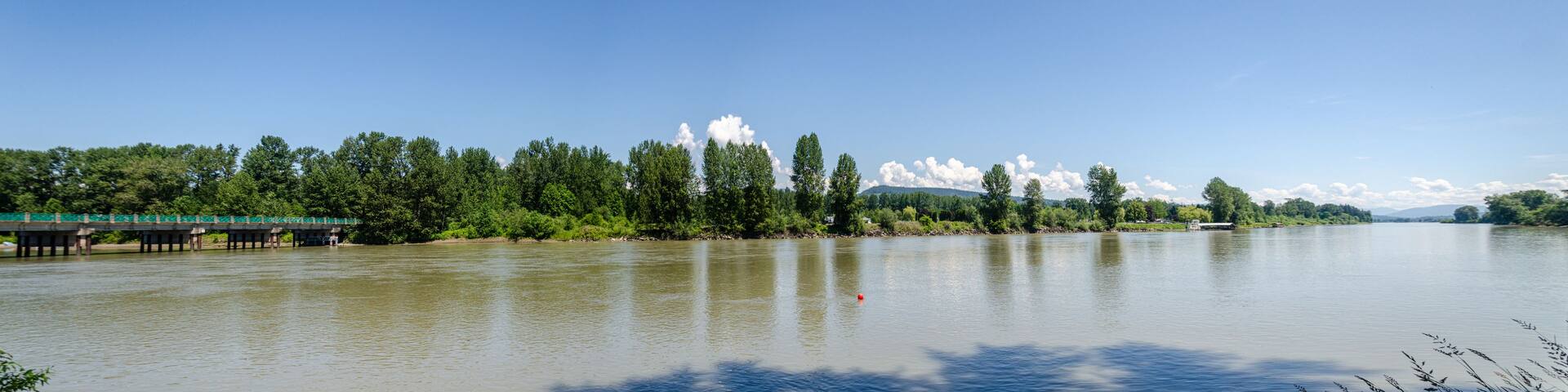 A river with a bridge, dense trees, and a clear sky.