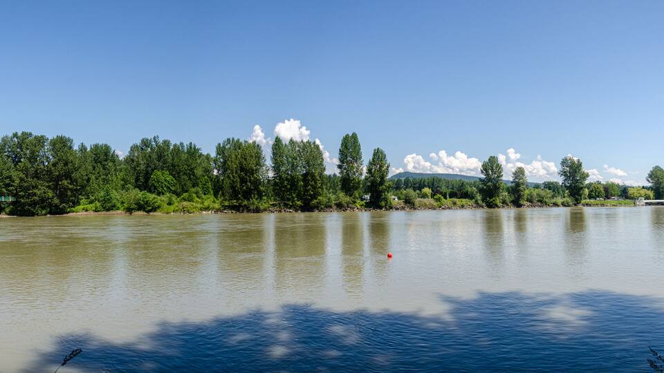A river with a bridge, dense trees, and a clear sky.