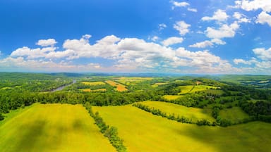 Summer Panorama of the Pennsylvania Countryside