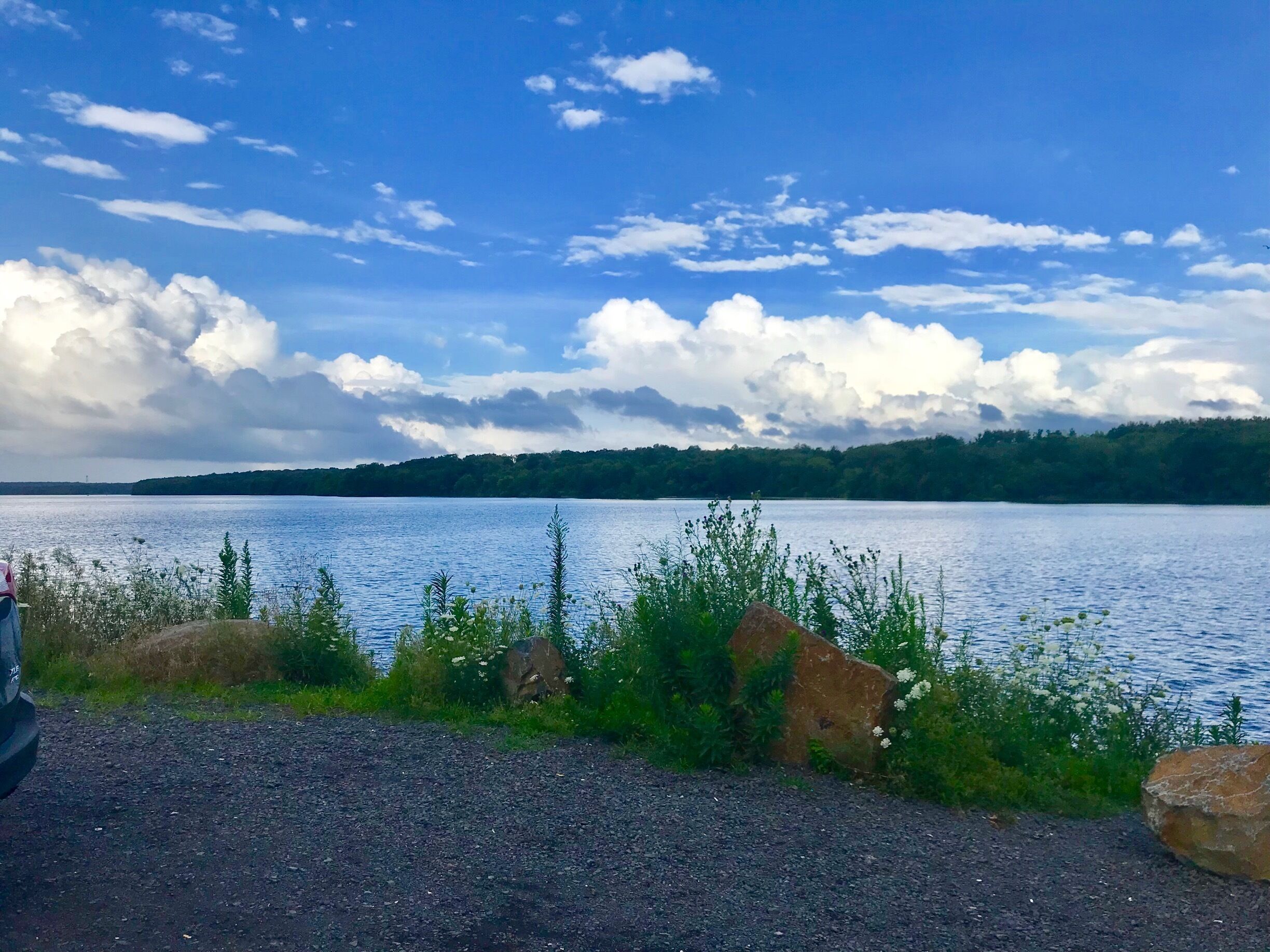 Lovely day for a lovely photo!