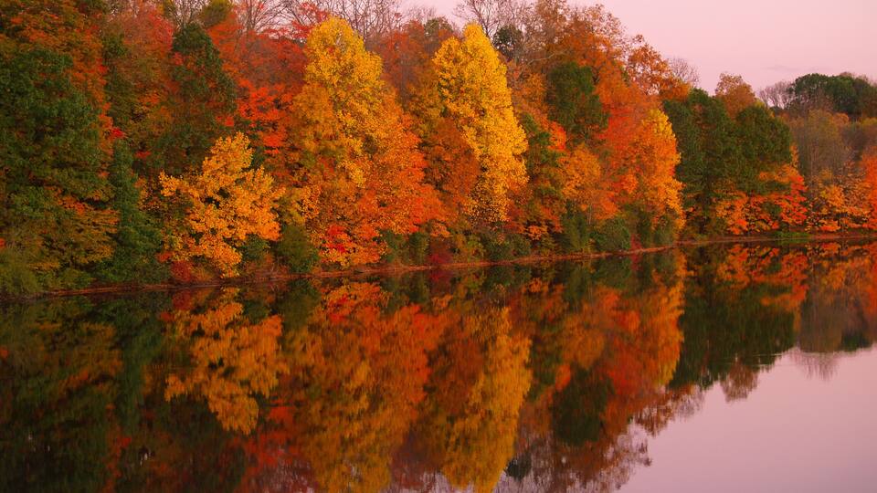 A calm lake reflecting colorful autumn trees.