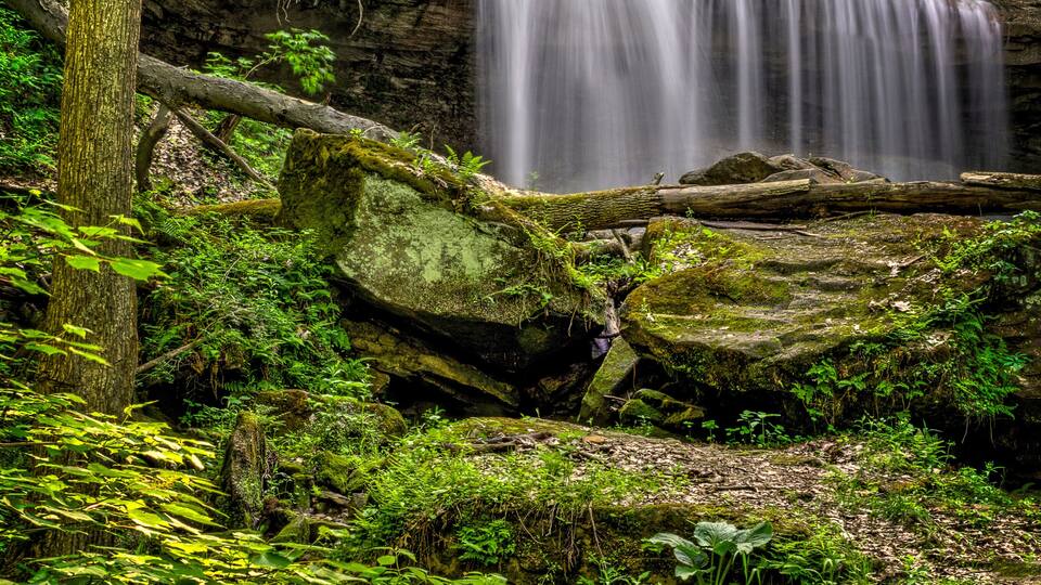 A waterfall cascading over a rocky cliff surrounded by lush greenery.