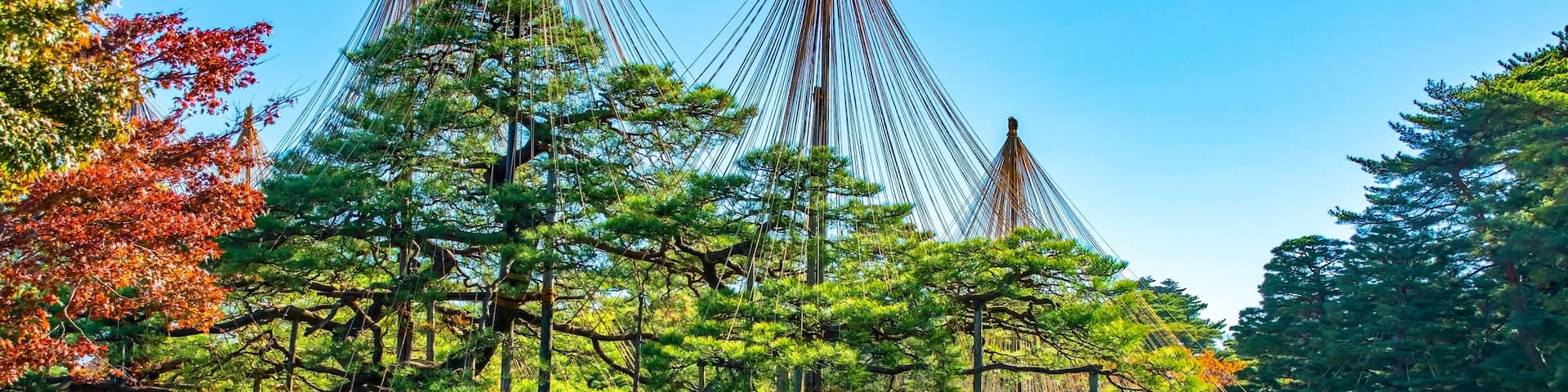 A serene Japanese garden with a pond, lush greenery, and traditional conical structures.