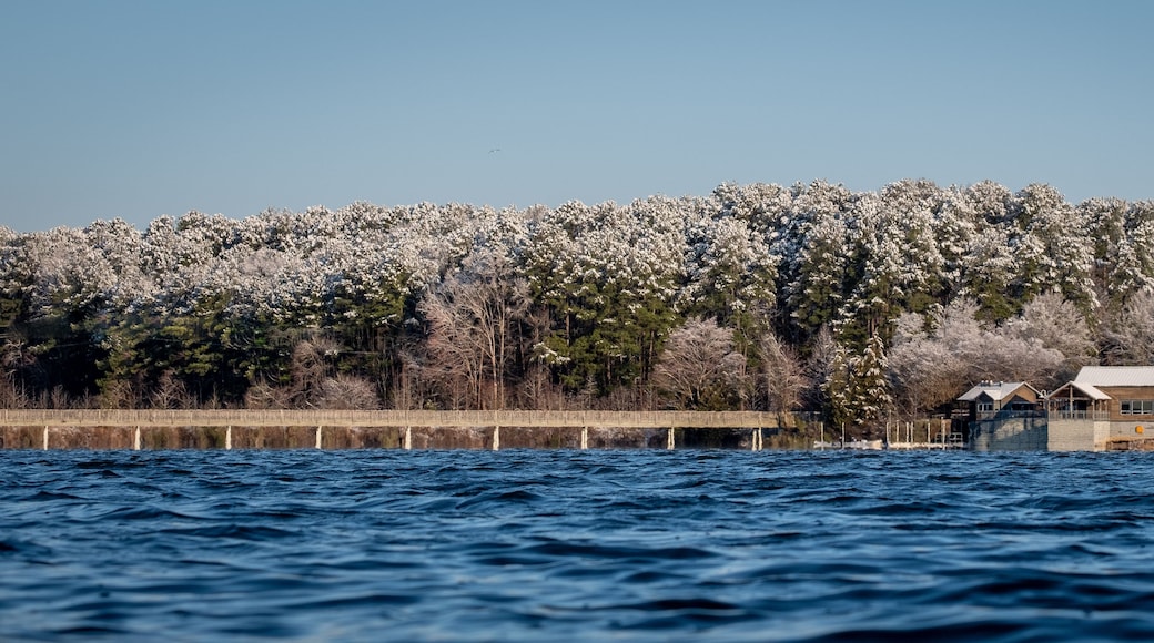A body of water with a wooden pier extending into it, surrounded by snow-covered trees and a clear sky.