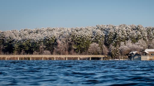 Een waterlichaam met een houten steiger die erin uitstelt, omgeven door met sneeuw bedekte bomen en een heldere lucht.