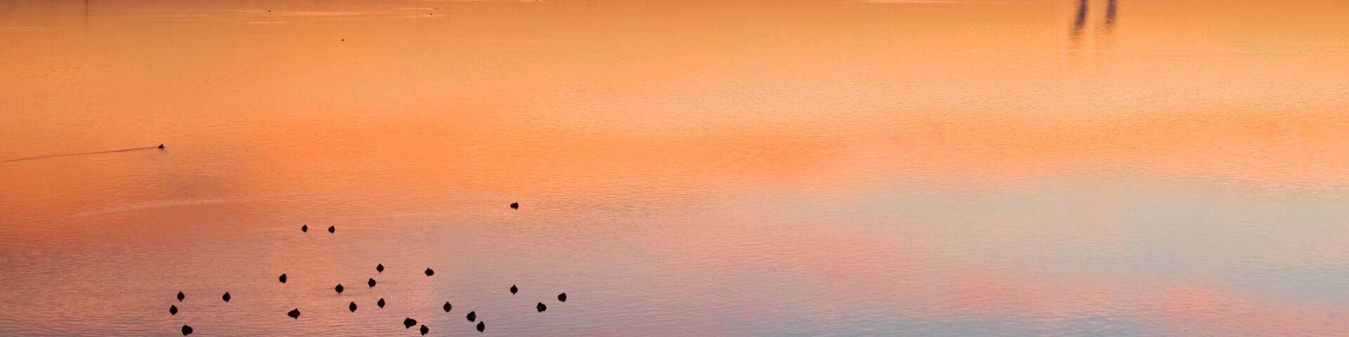 A calm lake at sunset with industrial structures in the distance.