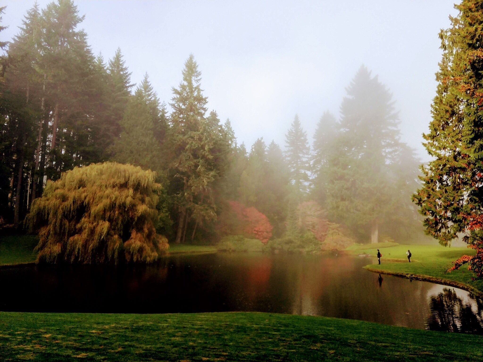 There is beauty year round at this favorite walking place. A misty fall morning can be magical.