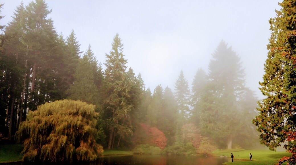 There is beauty year round at this favorite walking place. A misty fall morning can be magical.