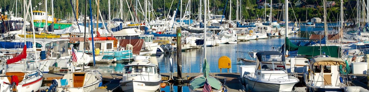 Bainbridge Island featuring forest scenes, a bay or harbour and a marina