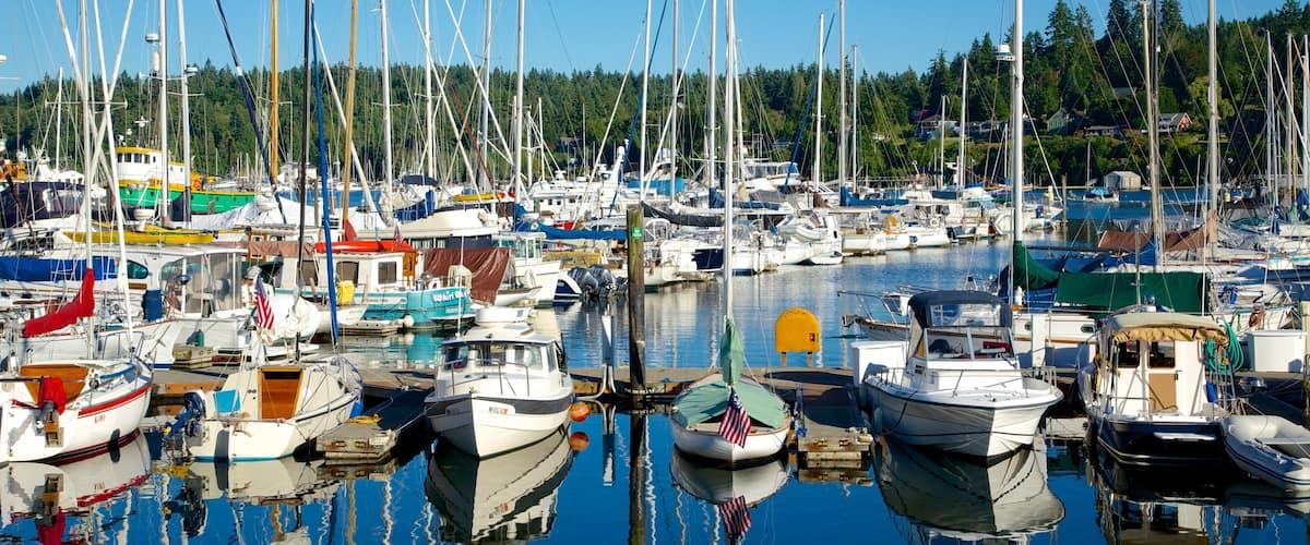 Bainbridge Island mettant en vedette forêts, marina et baie ou port