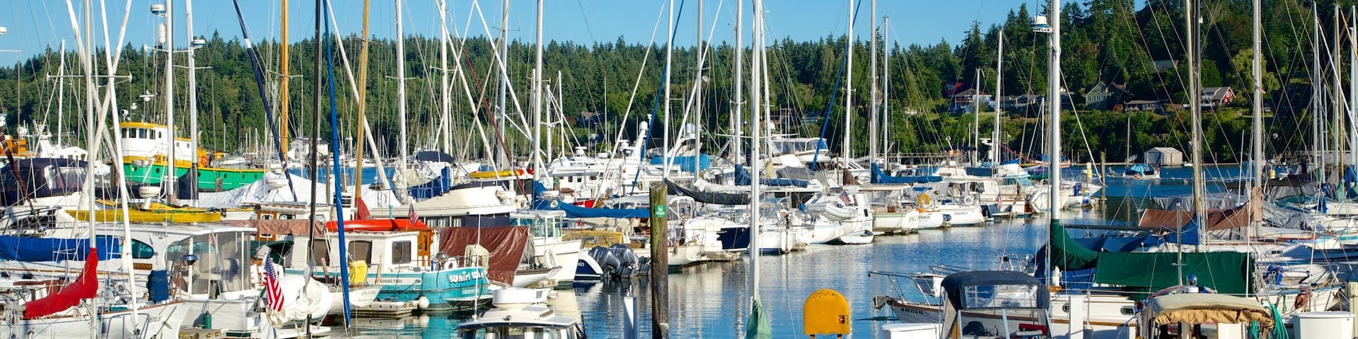 Bainbridge Island showing a marina, forest scenes and a bay or harbor