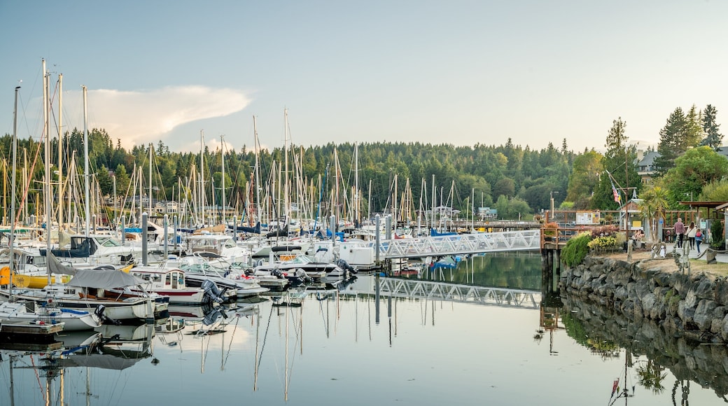 Bainbridge Island showing a bay or harbor