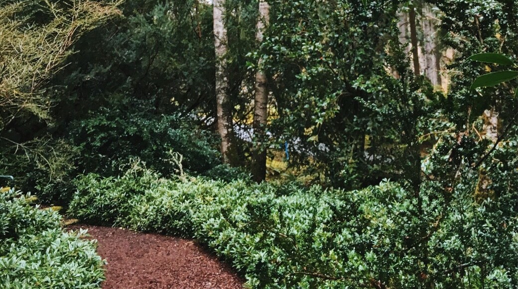 Spring is just around the corner at Bloedel Reserve. #pnw #weekendgetaway #green