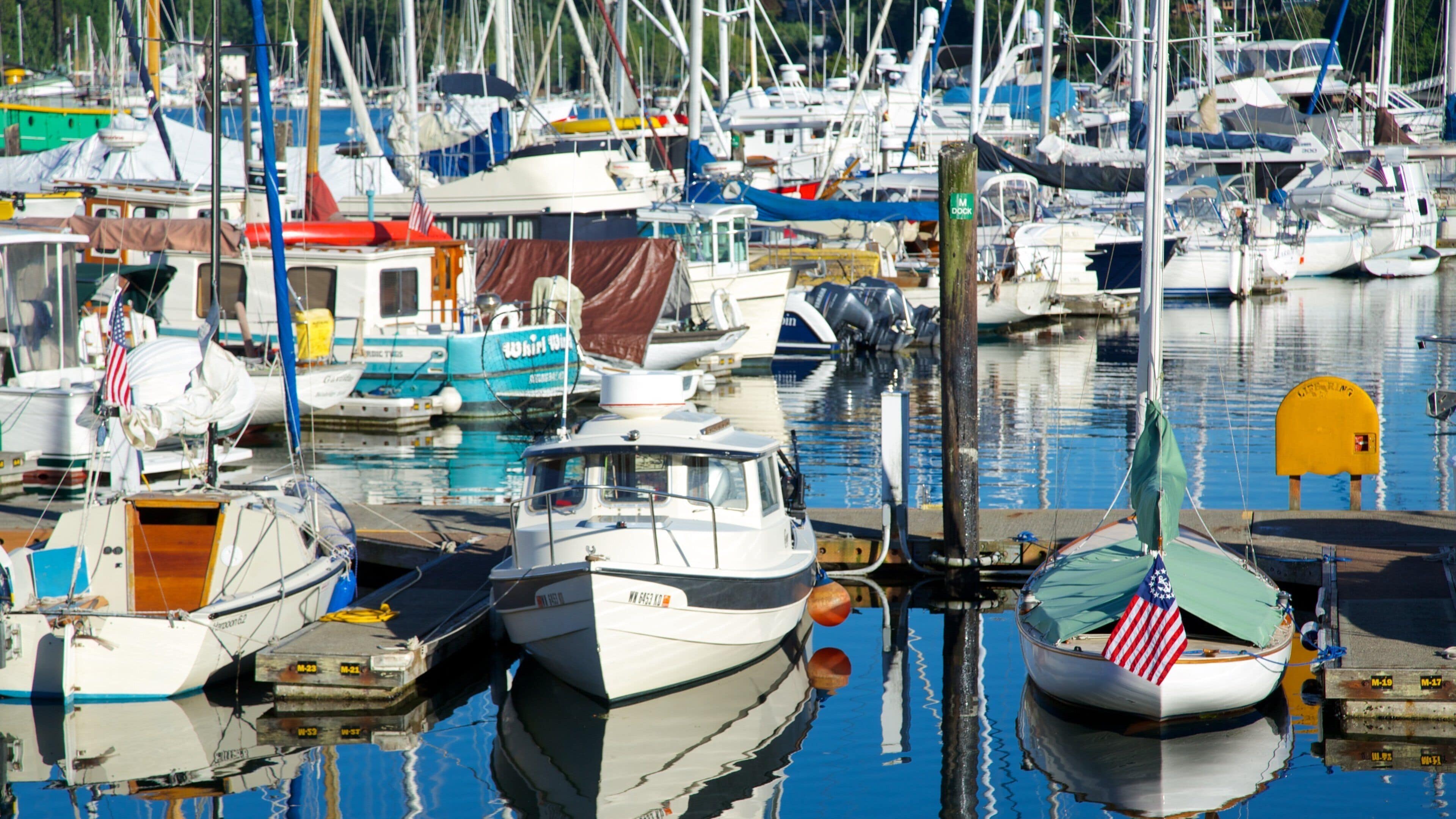 Bainbridge Island featuring a marina and a bay or harbour