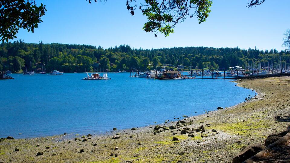 Un paisaje costero con un litoral rocoso, un puerto deportivo con barcos y un fondo boscoso.