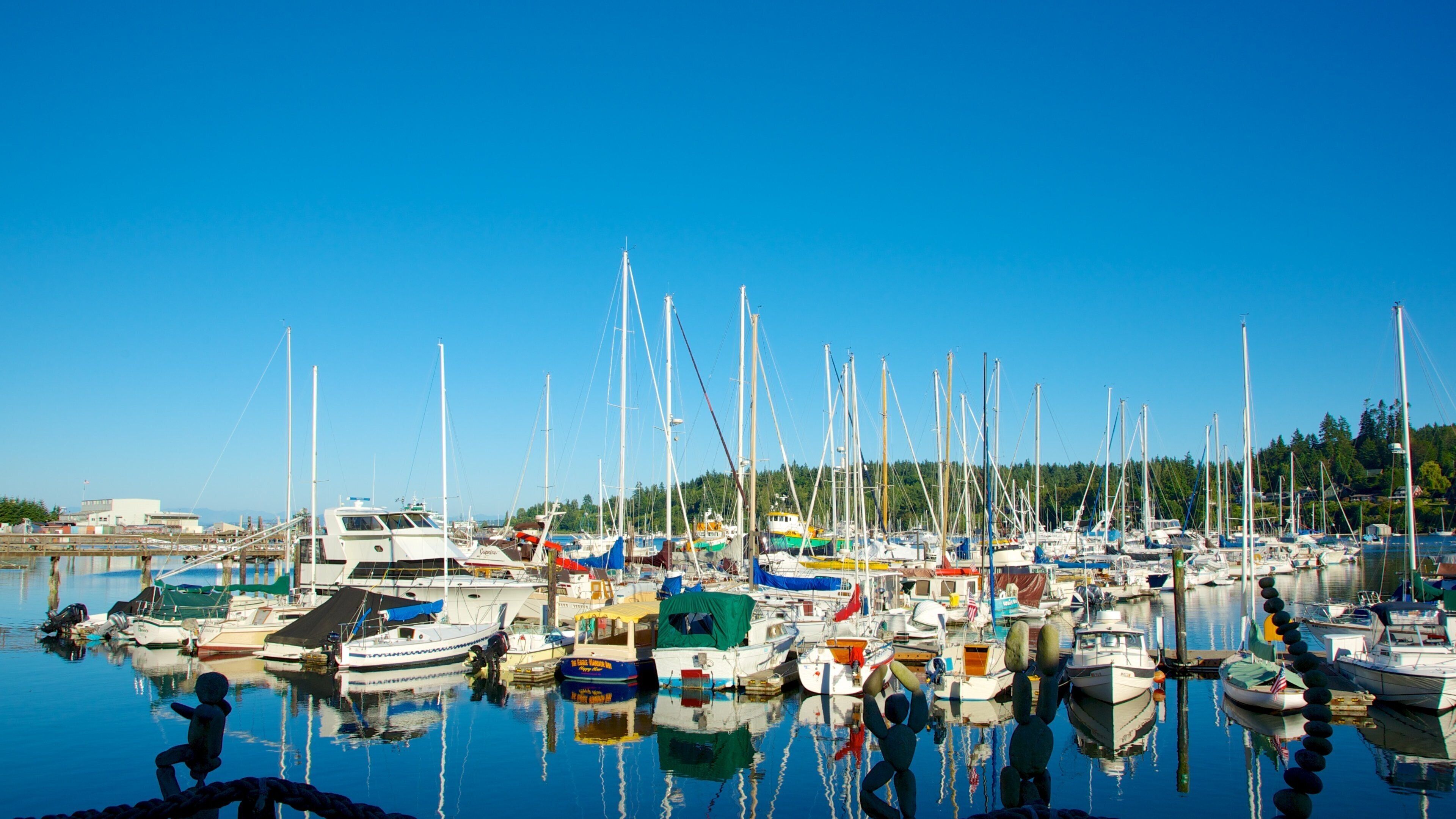 Bainbridge Island which includes general coastal views, boating and a marina