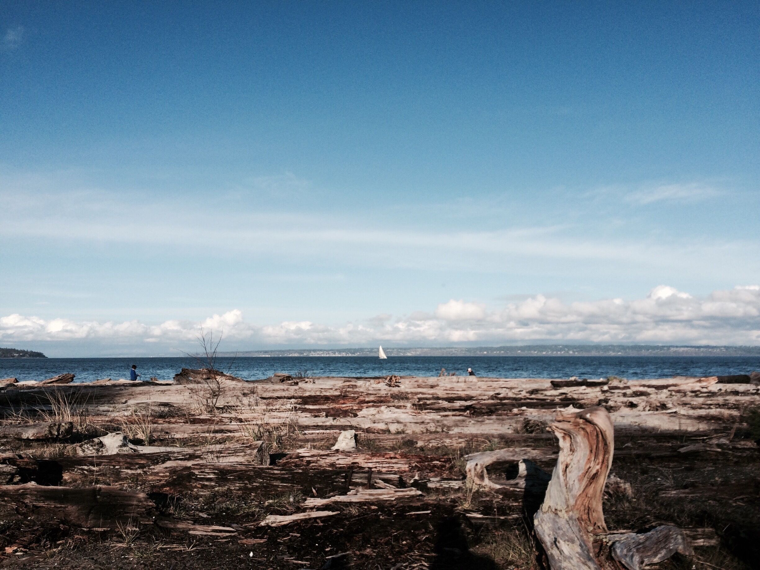 Skipping stones and log jumping