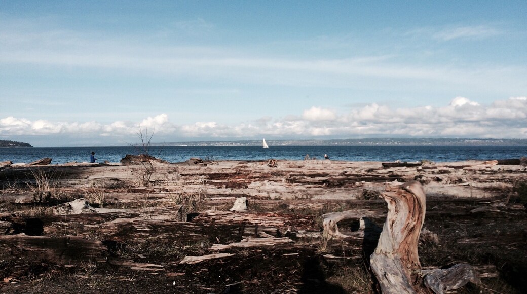 Skipping stones and log jumping