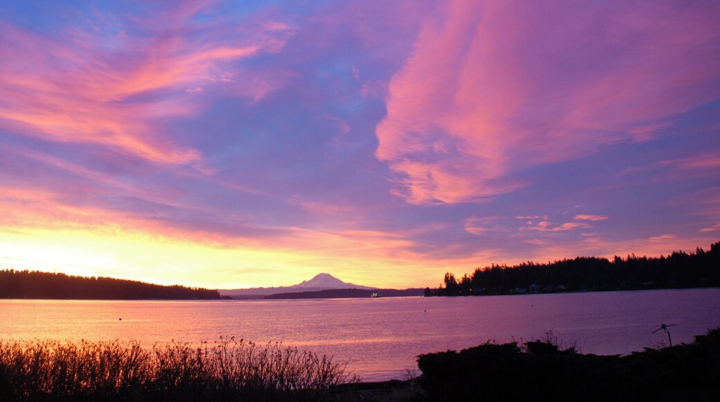 Mount Rainier is in a class by herself, as seen from the estuary on the south end of the island. Get a coffee from Pleasant Beach marketplace, rent a paddleboard from Bainbridge Island Outfitters, and get on out there.
