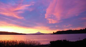 Mount Rainier is in a class by herself, as seen from the estuary on the south end of the island. Get a coffee from Pleasant Beach marketplace, rent a paddleboard from Bainbridge Island Outfitters, and get on out there.
