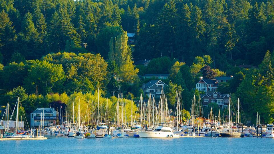 A marina with numerous sailboats docked, surrounded by dense forest and houses.