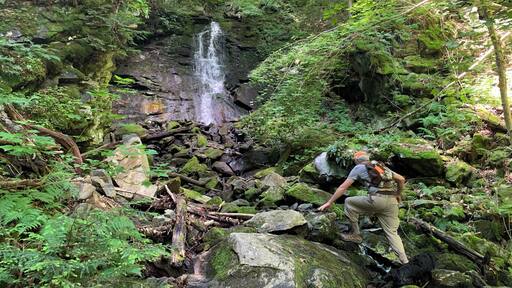 A 0.4 mile side spur on this relatively new north trail off Rt. 4 in Enfield, NH takes you to Big Dog Falls. It is a dead end as the sides are too steep to climb. Wonderfully cool on a hot summer day.
#TakeAHike
